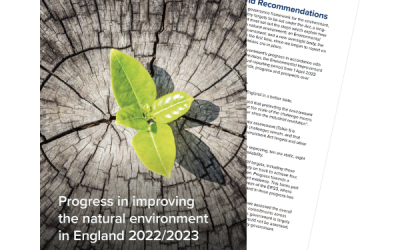 Office for Environmental Protection Annual Report